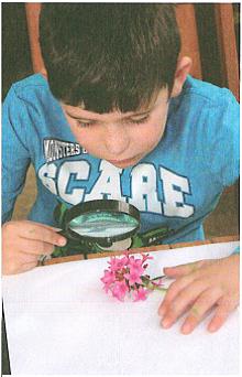 (בספר איור של נוגה ושביט משוחחים)